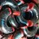 Carbon Steel Elbows